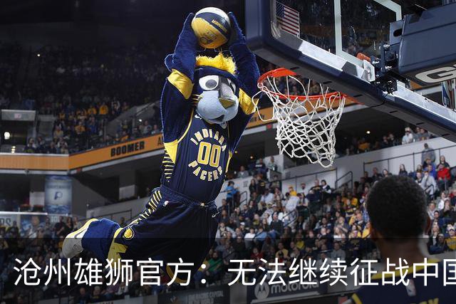 沧州雄狮官方：无法继续征战中国足球职业联赛